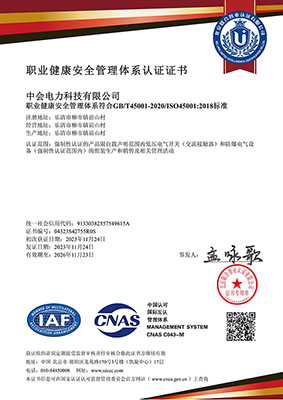 職業健（jiàn）康安全管理體係